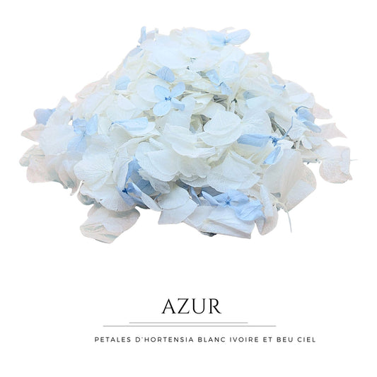 Azur - Confettis fleurs séchées Mariage