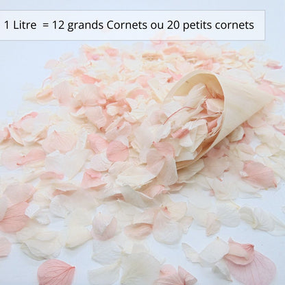 Pétales d'Hortensia séché Rose Ivoire - Confettis de Mariage