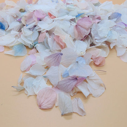 Pétales d'Hortensia séché Arc en ciel - Confettis de Mariage Biodégradables