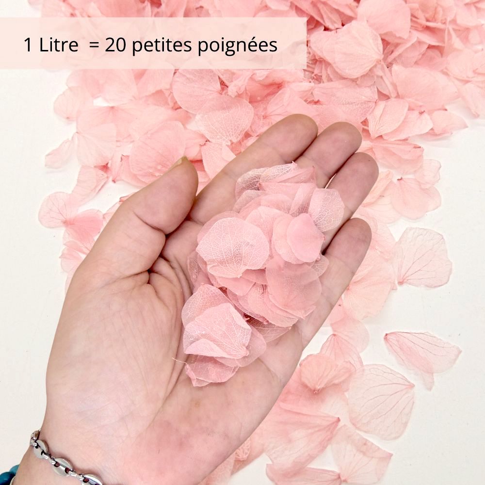 Pétales d'Hortensia séché Rose Antique - Confettis fleurs Mariage