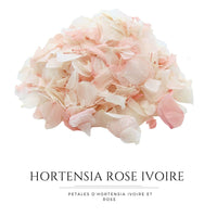 Pétales d'Hortensia séché Rose Ivoire - Confettis de Mariage