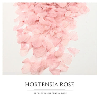 Pétales d'Hortensia séché Rose Antique - Confettis fleurs Mariage