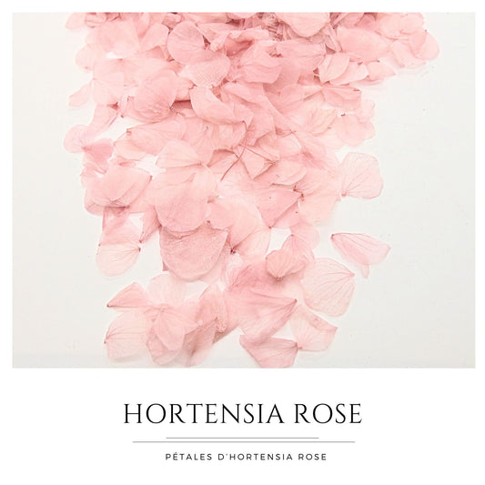 Pétales d'Hortensia séché Rose Antique - Confettis fleurs Mariage