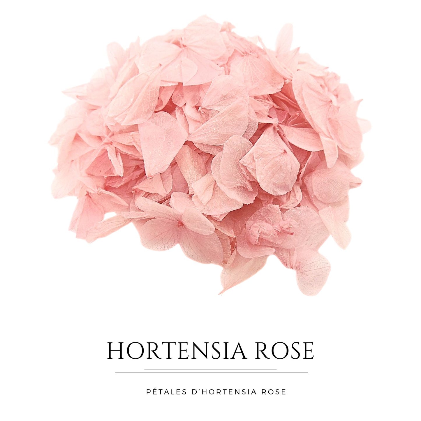 Pétales d'Hortensia séché Rose Antique - Confettis fleurs Mariage