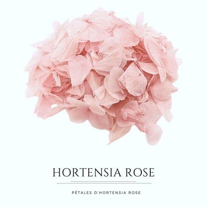 Pétales d'Hortensia séché Rose pâle - Confettis fleurs Mariage
