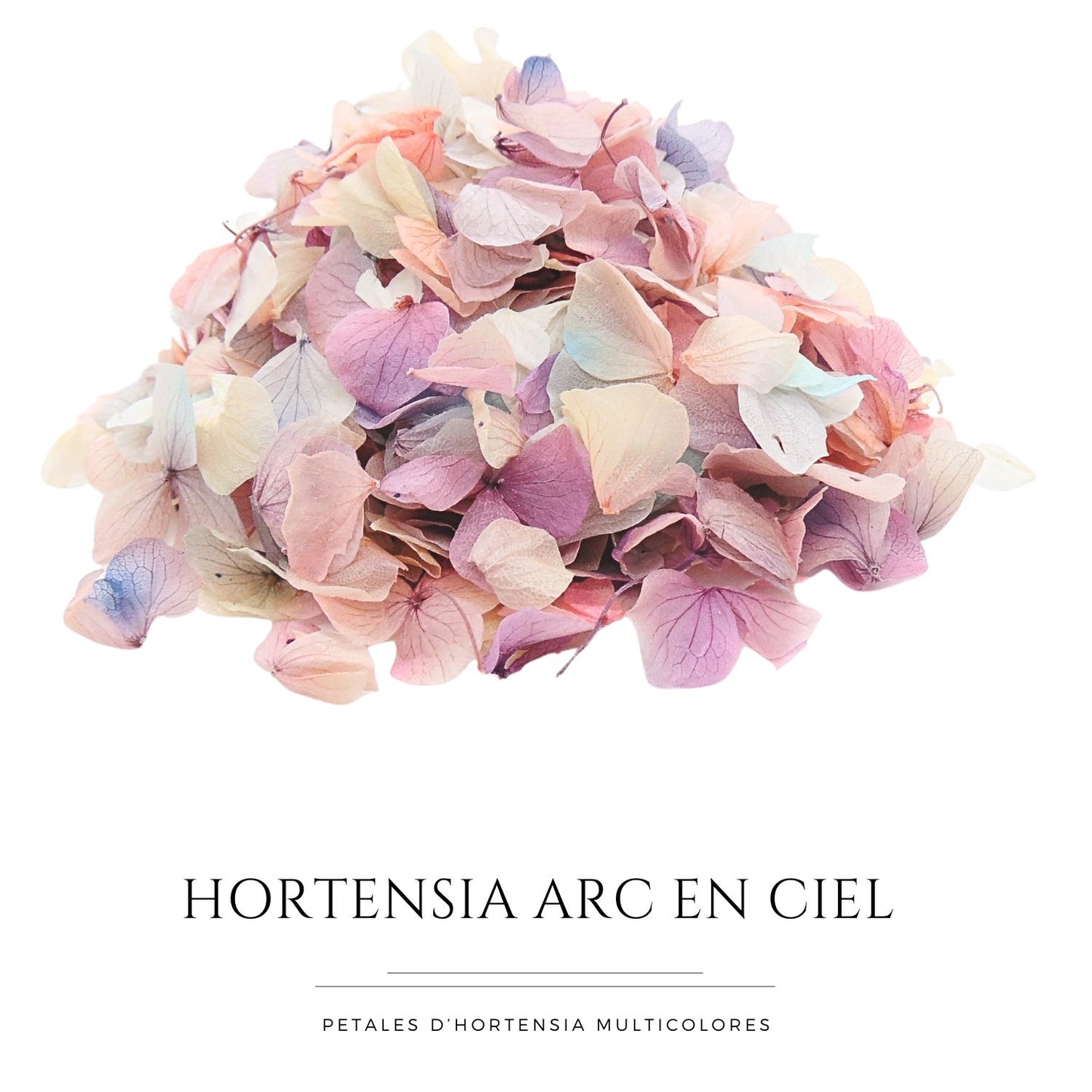 Pétales d'Hortensia séché Arc en ciel - Confettis de Mariage Biodégradables