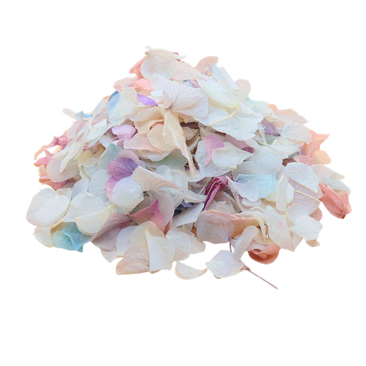 Pétales d'Hortensia séché Arc en ciel - Confettis de Mariage Biodégradables