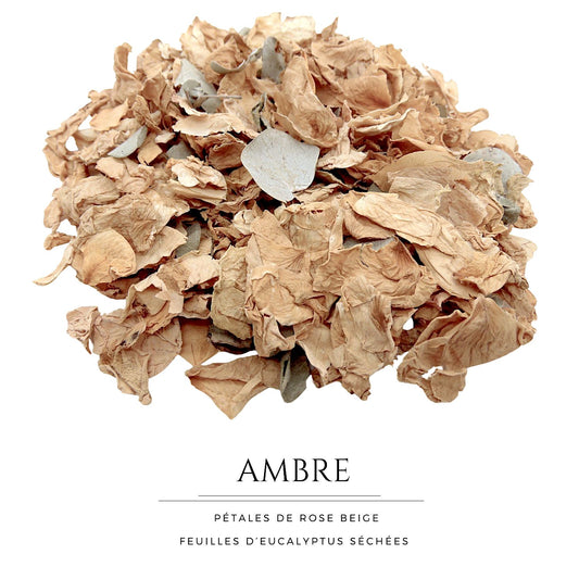 Ambre - Pétales de roses beige Eucalyptus