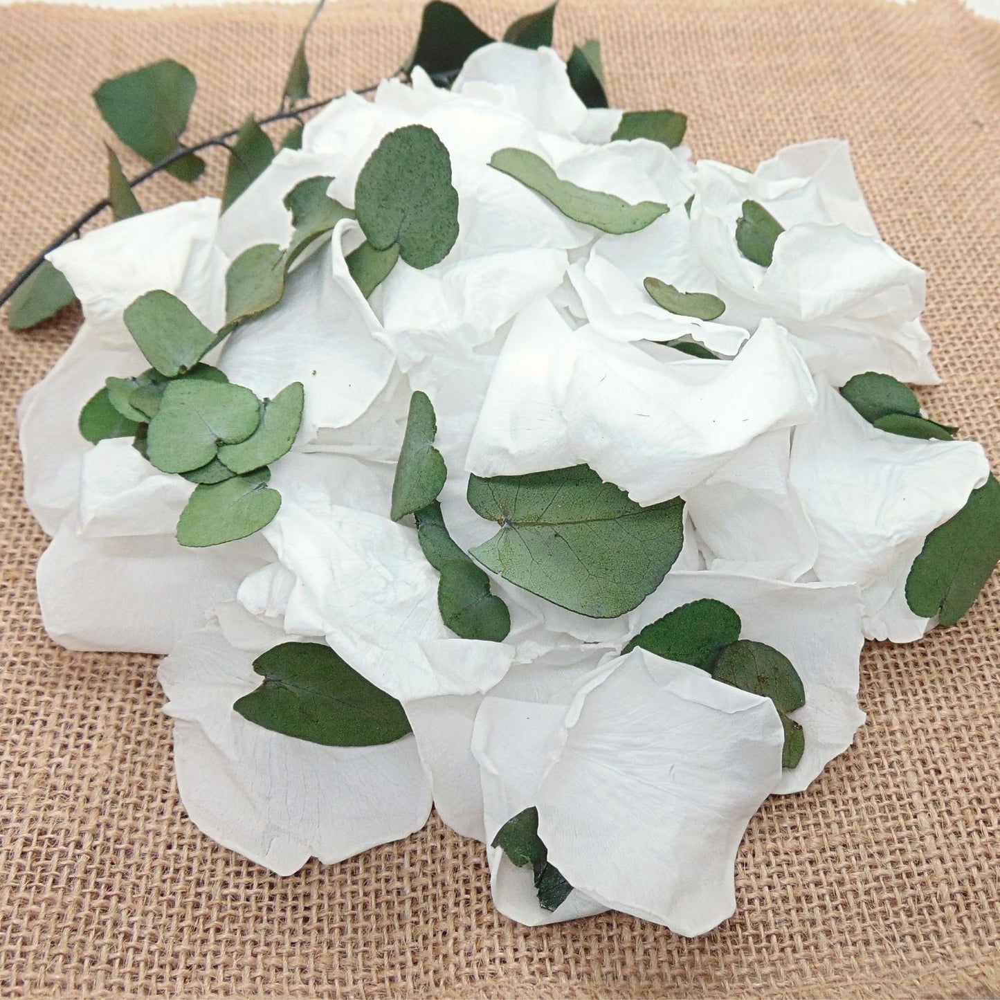 Eternelle - Pétales de Roses blanches feuille d'Eucalyptus