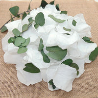 Eternelle - Pétales de Roses blanches feuille d'Eucalyptus
