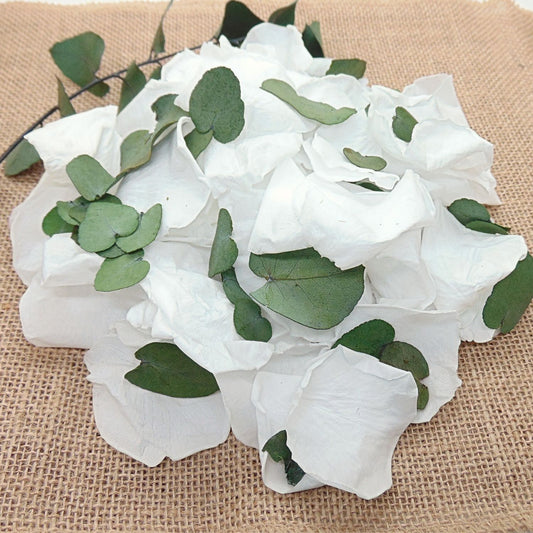 Eternelle - Pétales de Roses blanches feuille d'Eucalyptus