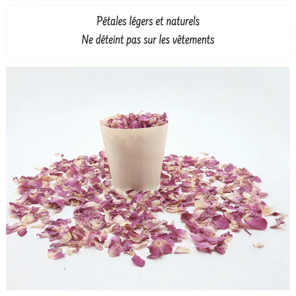 Pureté Rose Damas - Pétales de roses roses