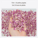 Pureté Rose Damas - Pétales de roses