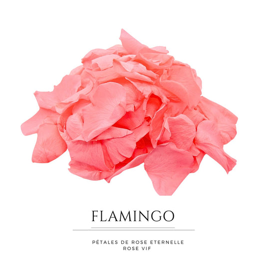 Flamingo - Pétales de rose rose stabilisée