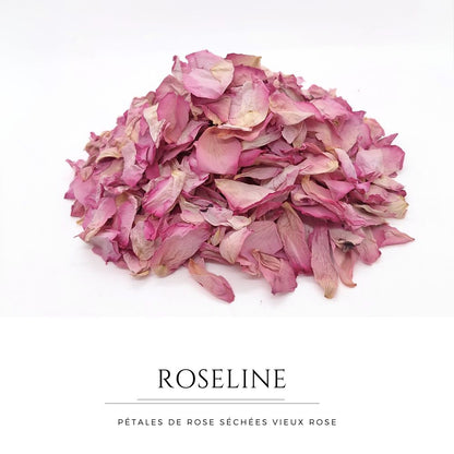 Roseline - Pétales de roses séchées vieux rose