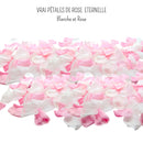 Girly - Pétales de rose éternelle blanche et rose