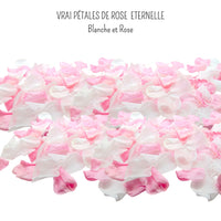Girly - Pétales de rose éternelle blanche et rose