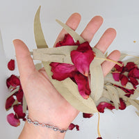 Rose et Eucalyptus séchés - Décoration de Table