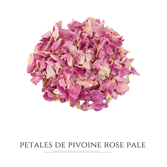petale de pivoine rose