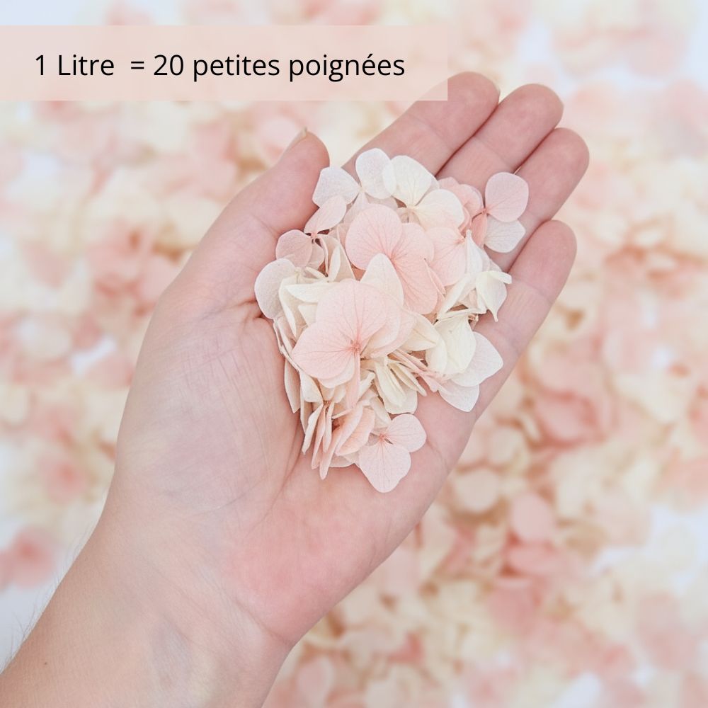 Pétales d'Hortensia séché Rose Ivoire - Confettis de Mariage