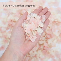 Pétales d'Hortensia séché Rose Ivoire - Confettis de Mariage