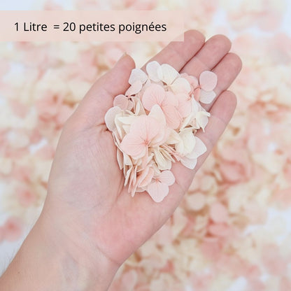 Pétales d'Hortensia séché Rose Ivoire - Confettis de Mariage