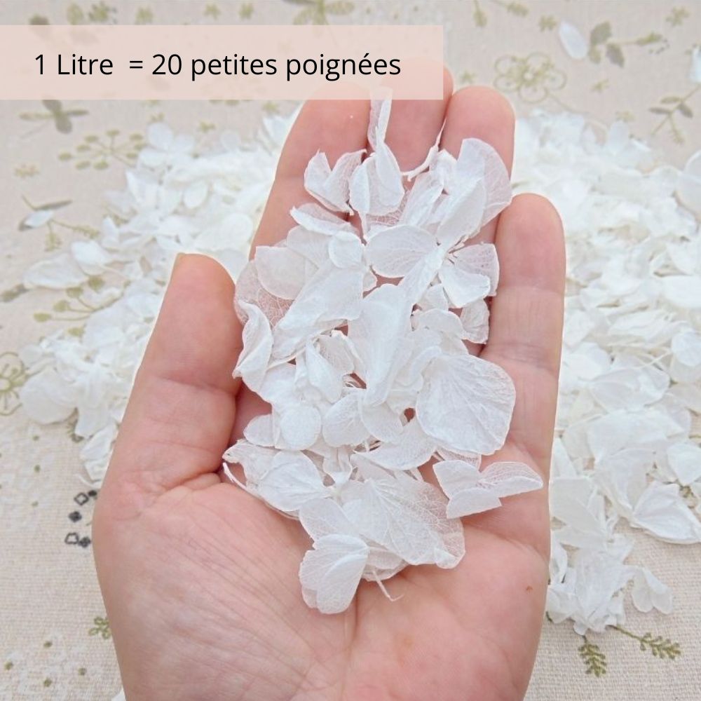 Pétales d'Hortensia séché blanc - Confettis de Mariage