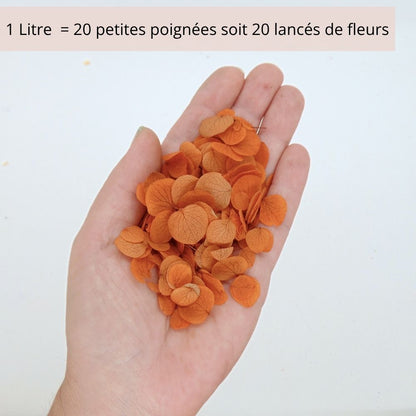 Petits Pétales d'hortensia terracotta - Confettis de Fleurs mariage
