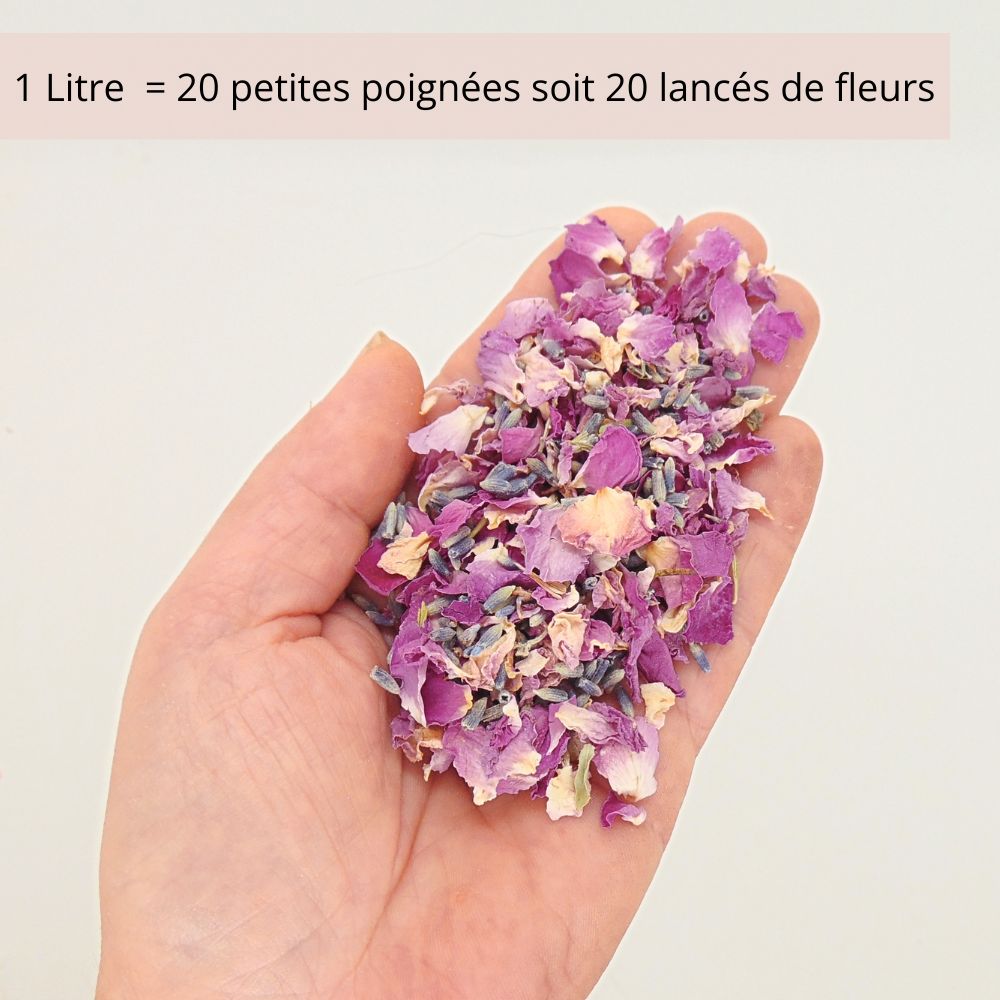 Florentine - Confettis de Fleurs Séchées Mariage Lavande Rose