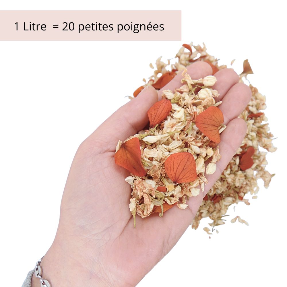 Terracotta - Confettis Fleurs séchées