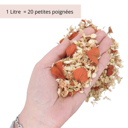 Terracotta - Confettis Fleurs séchées