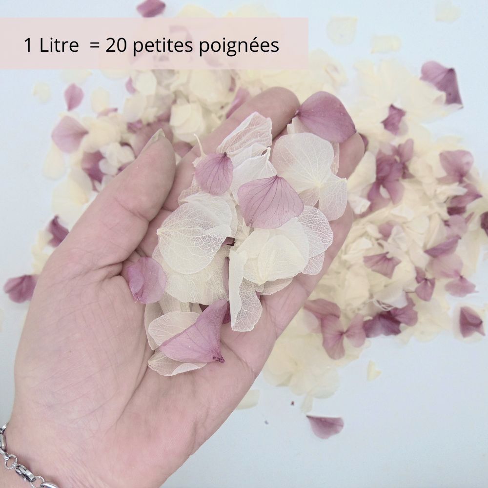 Pétales d'Hortensia Lilas Ivoire - Confettis de Mariage