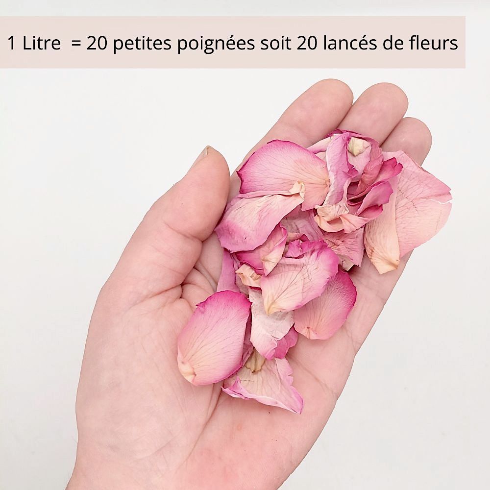 Roseline - Pétales de roses séchées vieux rose