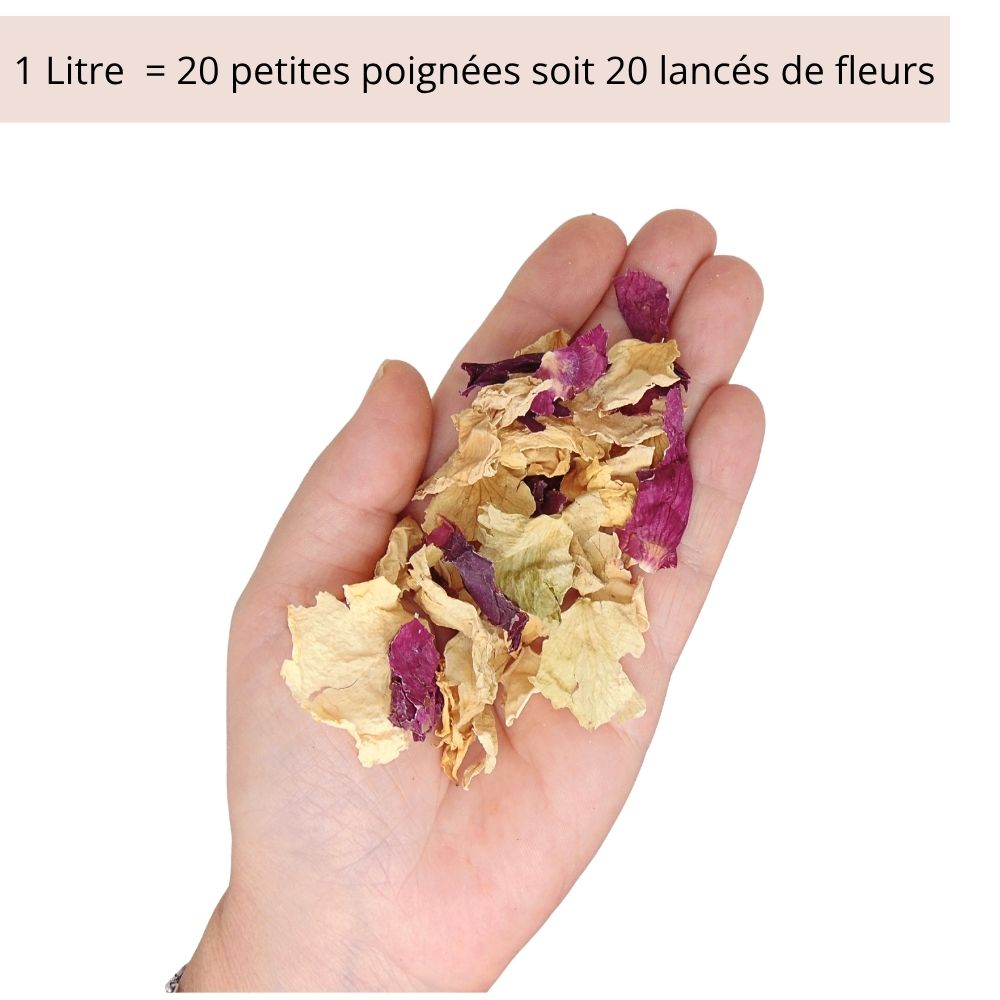 Solenne - Pétales de Rose Mariage