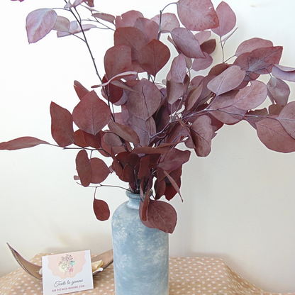 Bouquet Eucalyptus Populus Rouge préservé