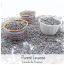 Confettis Fleurs séchées avec Pot