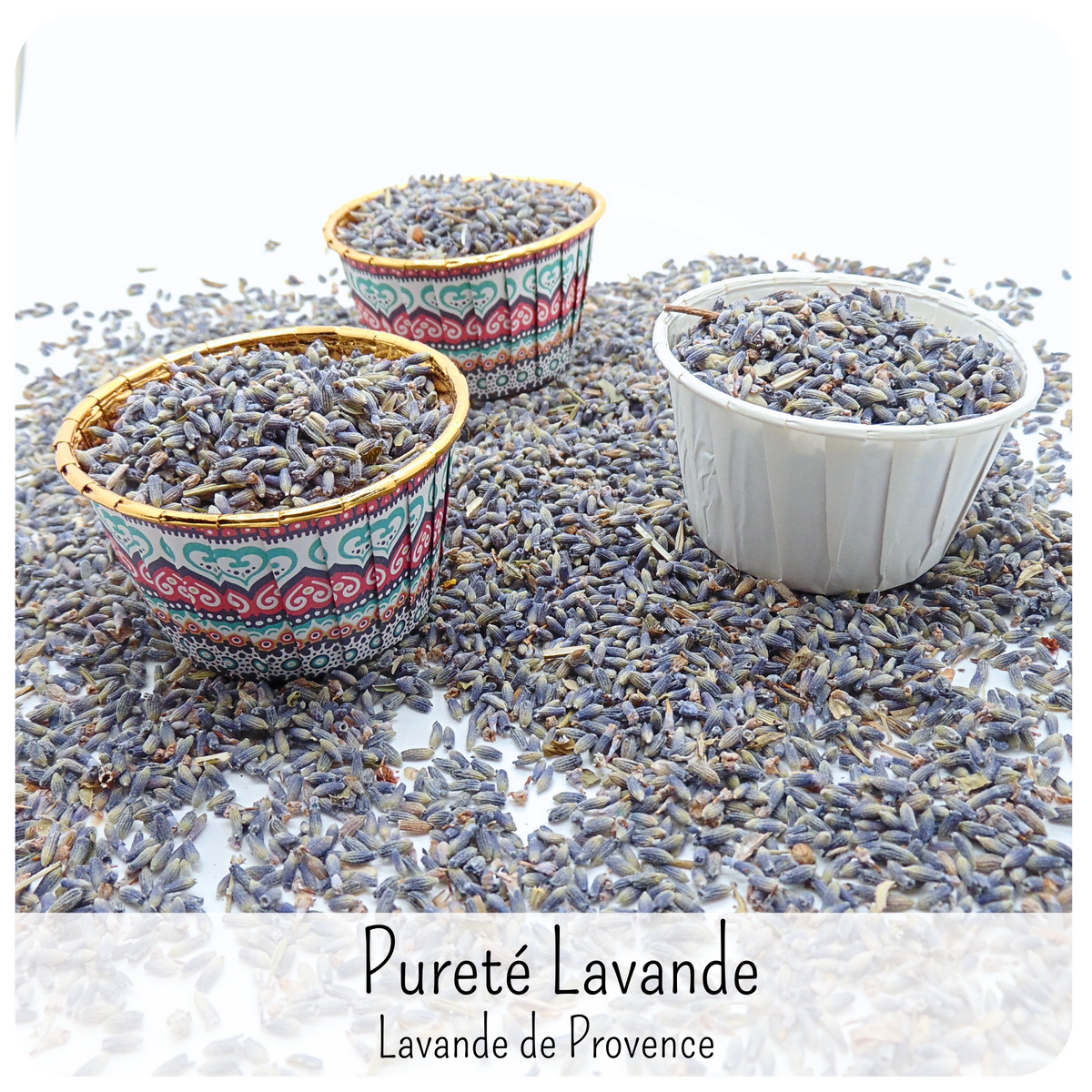 Confettis Fleurs séchées avec Pot