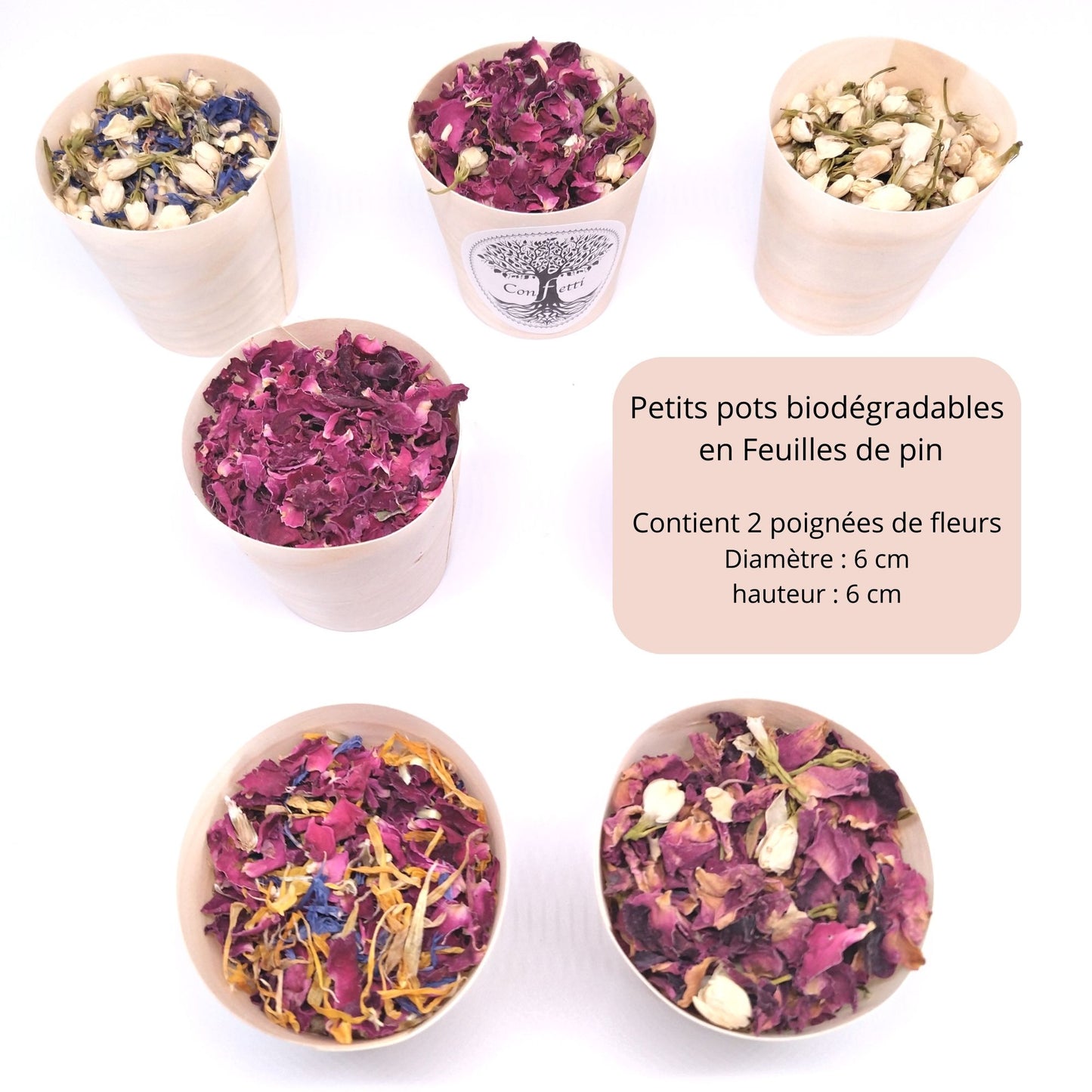 pot bois biodégradables avec confettis de fleurs séchées