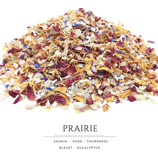 Prairie - Confettis Fleurs Séchées Mariage