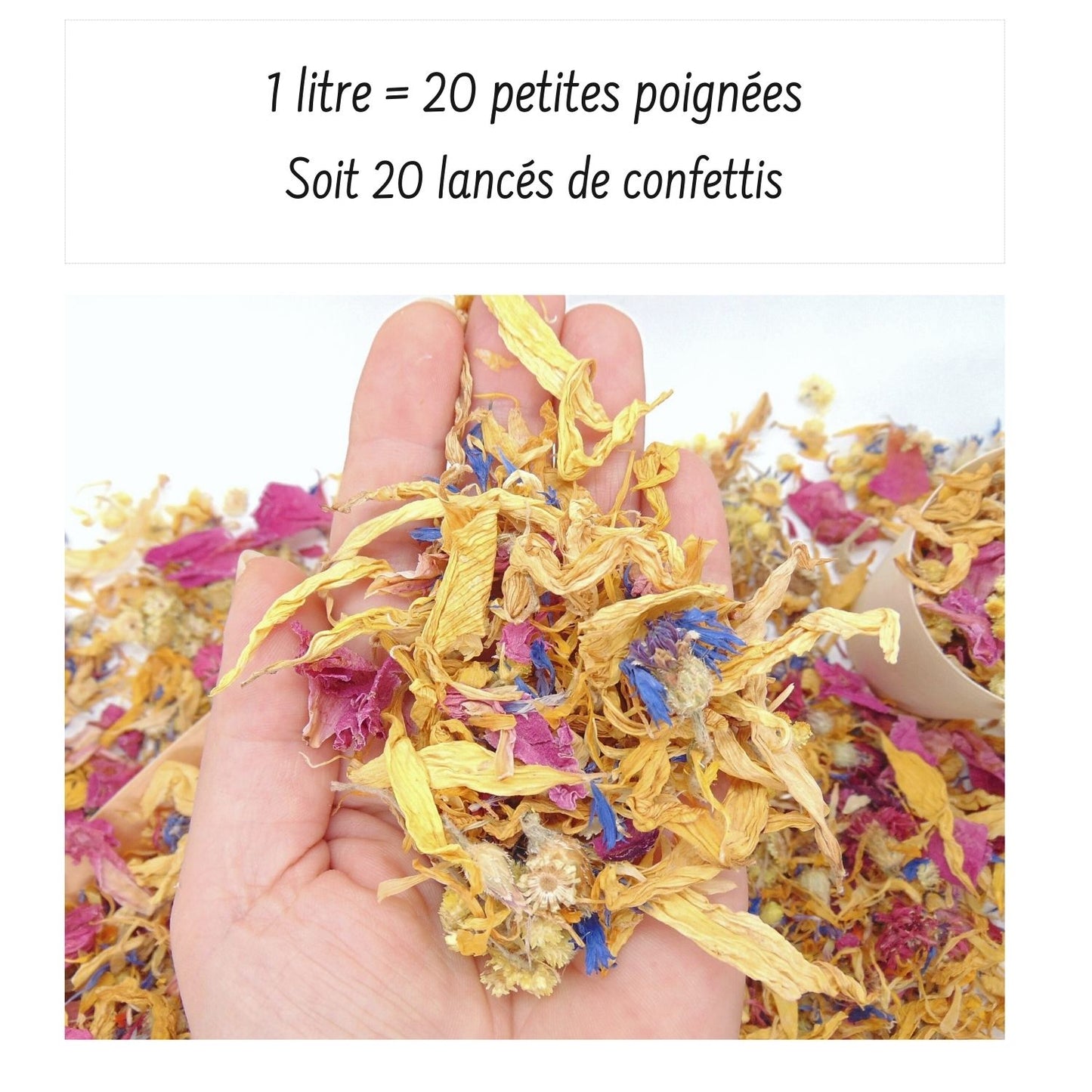 Prairie - Confettis Fleurs Séchées Mariage