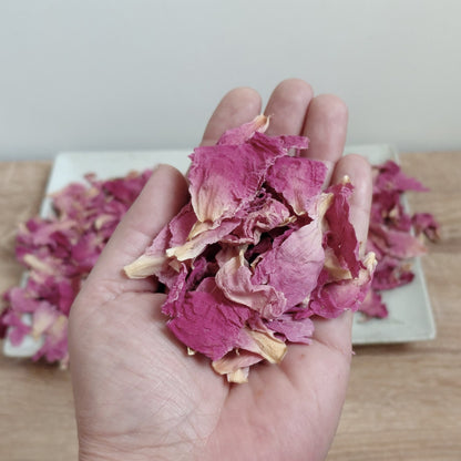 Pivoine Rose - Confettis Fleurs Séchées Mariage