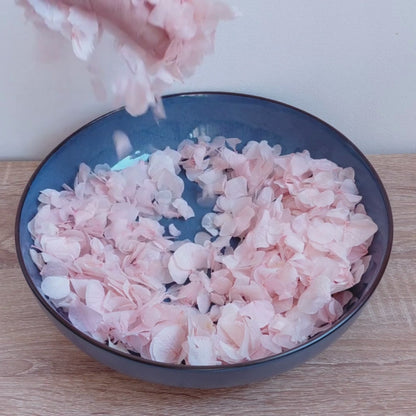 Pétales d'Hortensia séché Rose pâle - Confettis fleurs Mariage