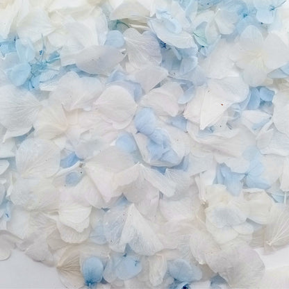 Azur - Confettis fleurs séchées Mariage