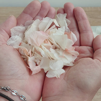 Pétales d'Hortensia séché Rose Ivoire - Confettis de Mariage