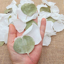 Pétales de Roses blanches Feuille d'Eucalyptus séché