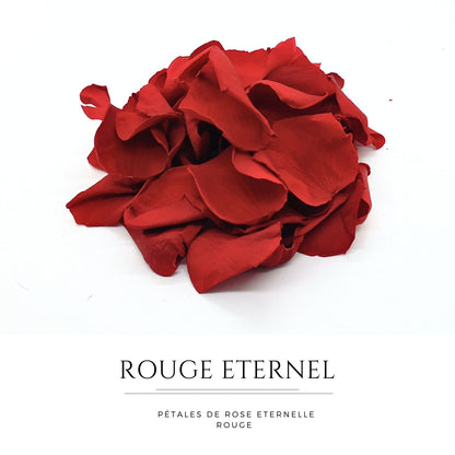 Rouge eternelle - Pétales de rose rouge stabilisée