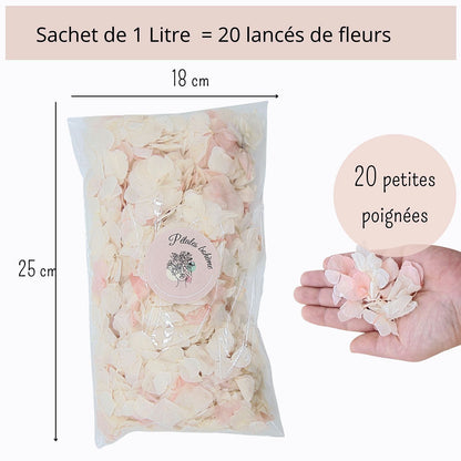 Pétales d'Hortensia séché Rose Ivoire - Confettis de Mariage