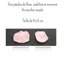 Girly - Pétales de rose éternelle blanche et rose